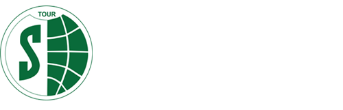 light logo